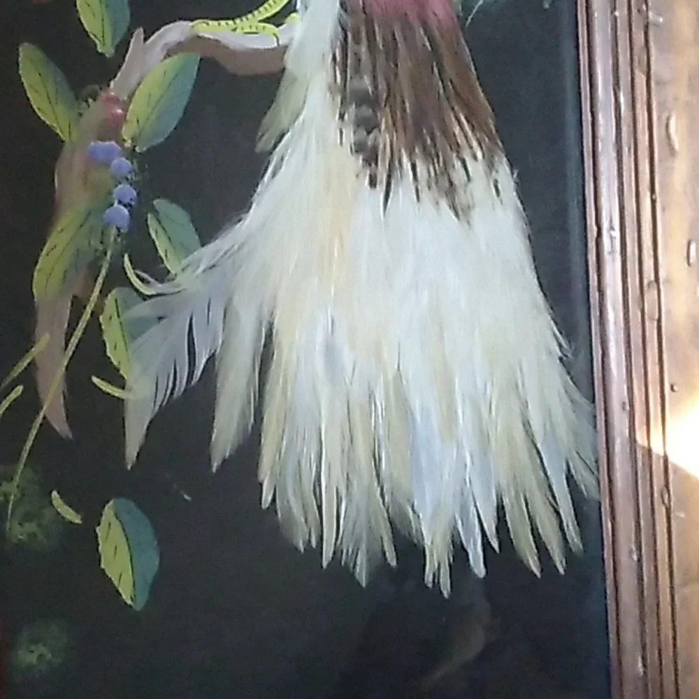 Vintage PEACOCK Framed ART Bird Distressed Wood FRAME 🖼️ 19